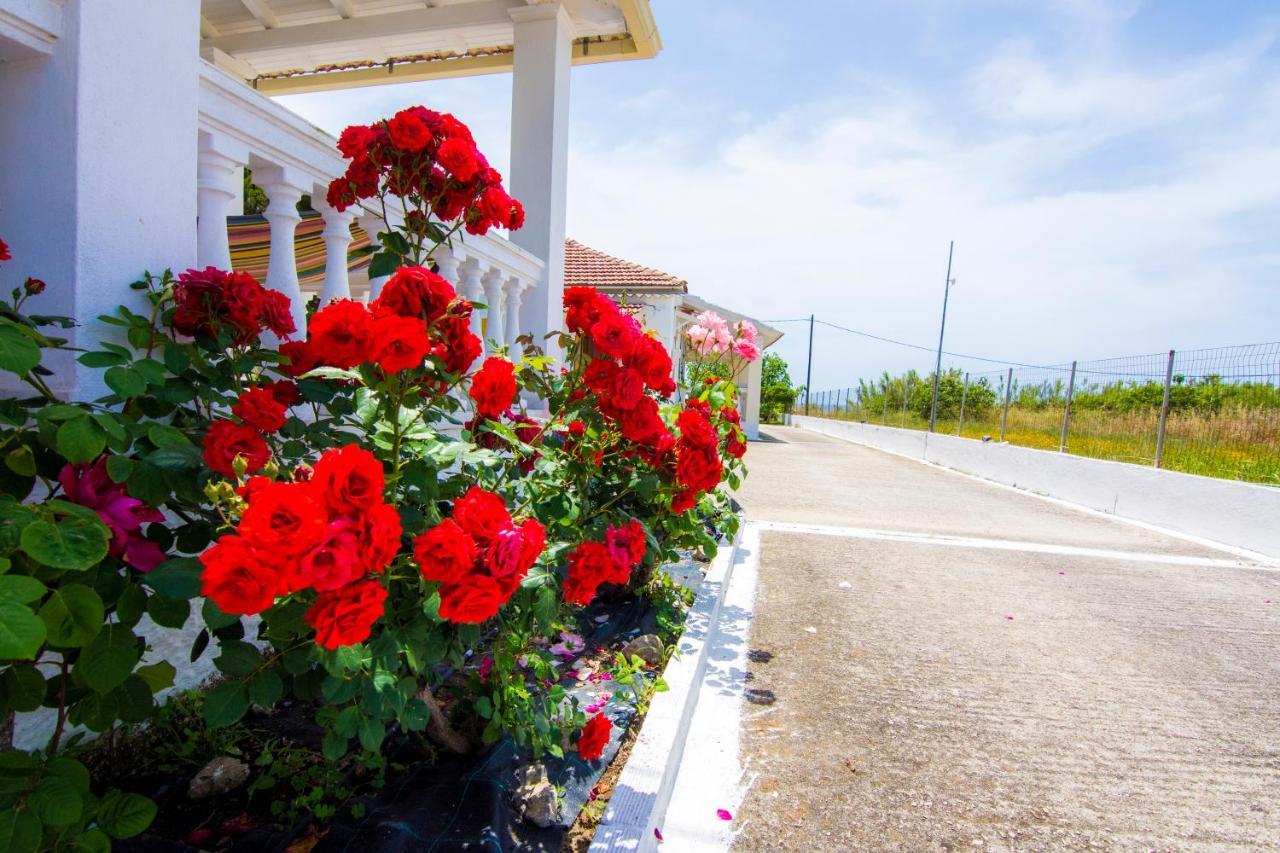 Serenity Apartments Agios Georgios  Exterior photo